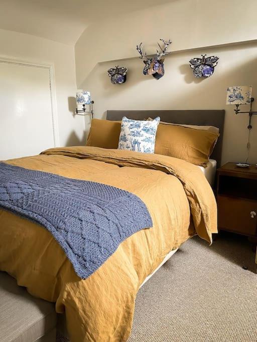 Glenarm Rose Houseヴィラ エクステリア 写真